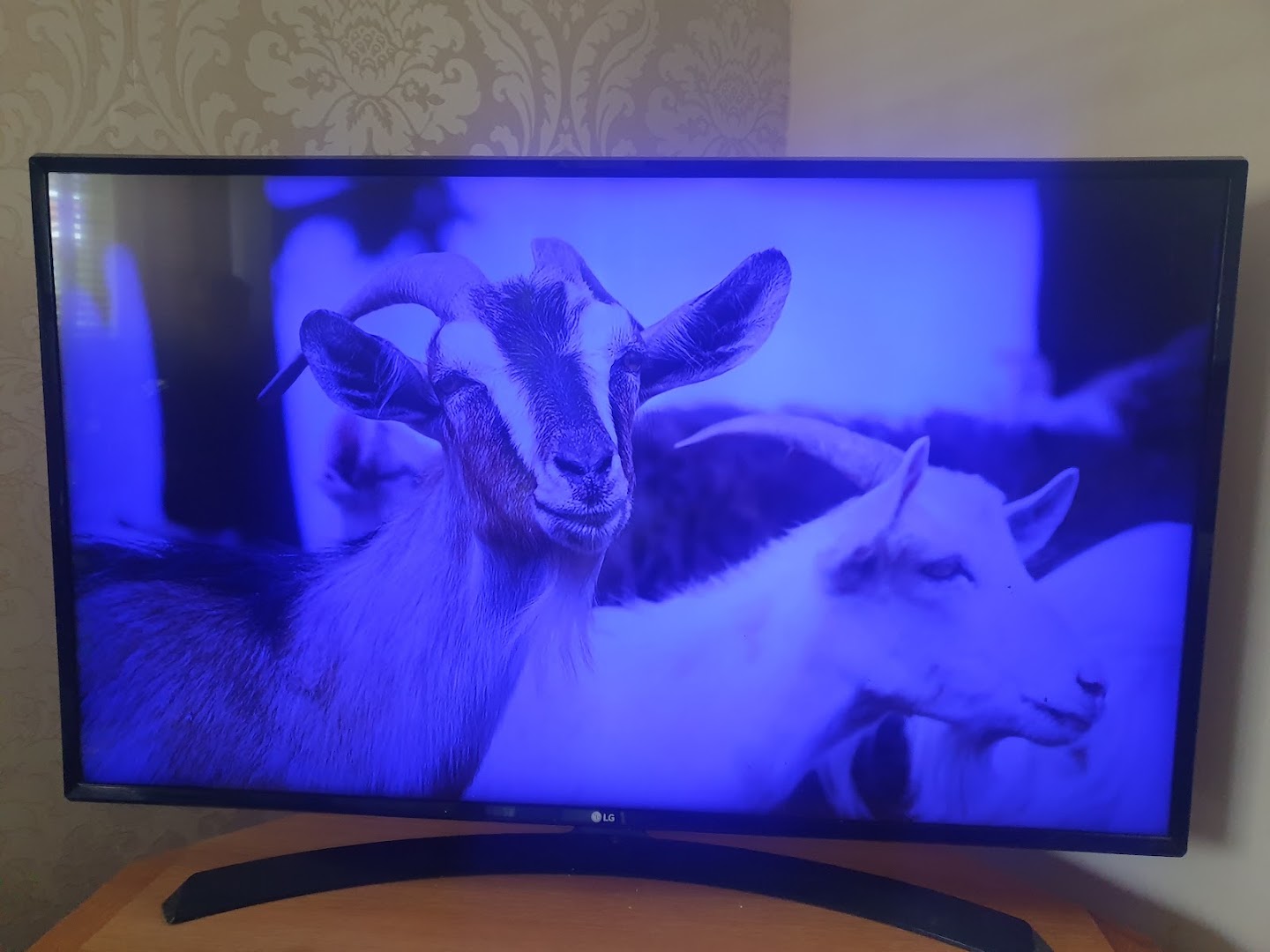Ma television also cctv services — Photos 3